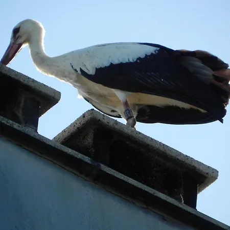 Holiday home 3 Frontieres *