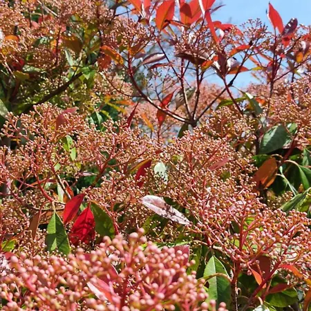 3 Frontieres Hagenthal-le-Bas