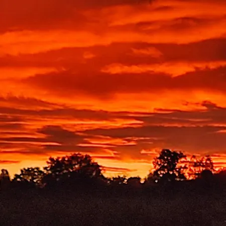 Holiday home 3 Frontieres Hagenthal-le-Bas