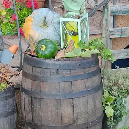 3 Frontieres Semesterbostad Hagenthal-le-Bas